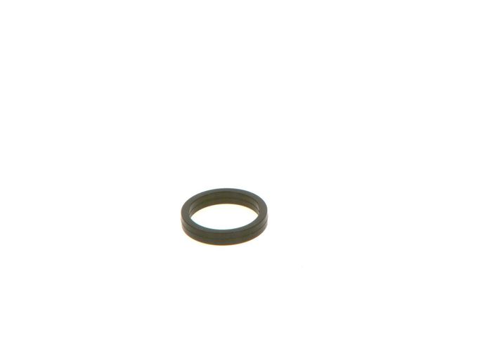Dichtring