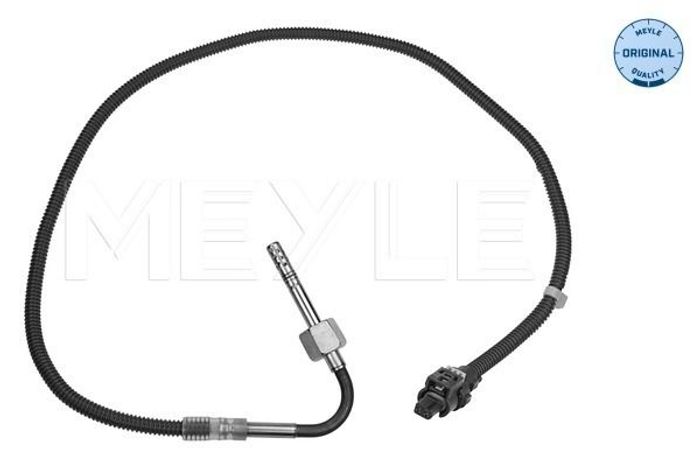 Sensor, Abgastemperatur