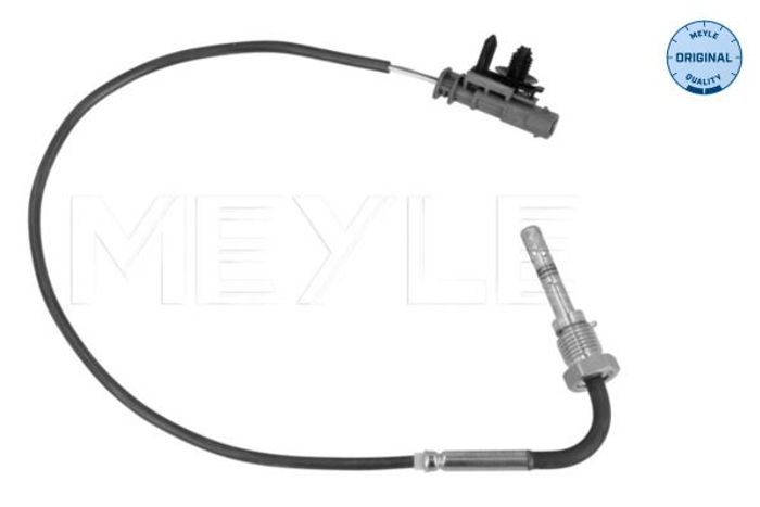 Sensor, Abgastemperatur