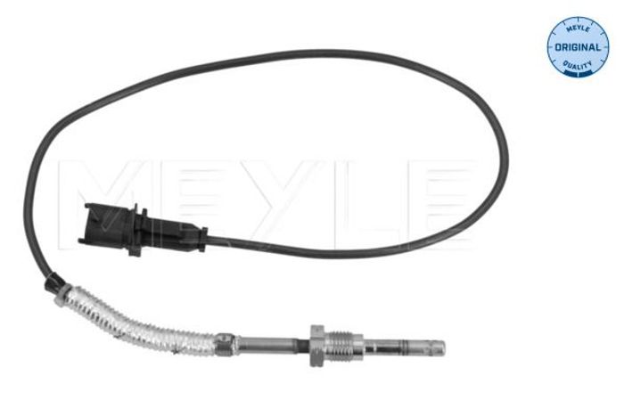 Sensor, Abgastemperatur