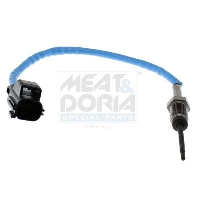 Sensor, Abgastemperatur