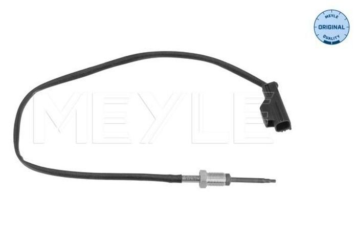 Sensor, Abgastemperatur
