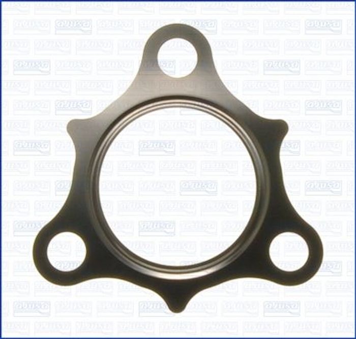 Dichtung, Turbineneinlass (Lader)