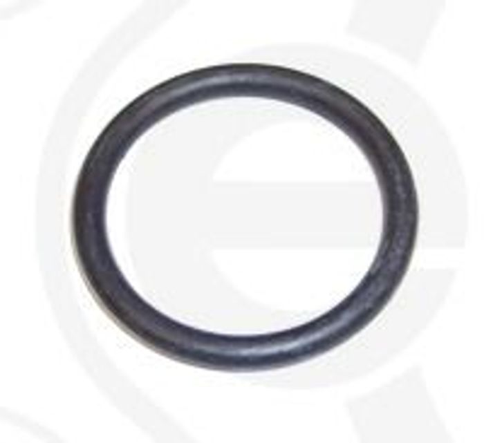 Dichtring