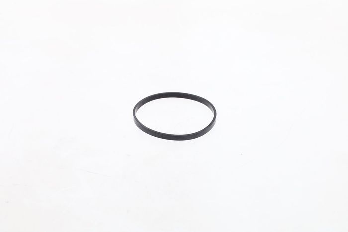 Pumpenelement (dichtung)