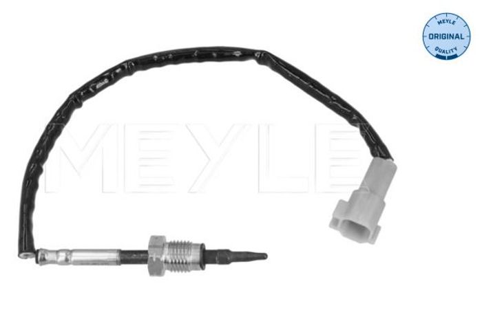 Sensor, Abgastemperatur