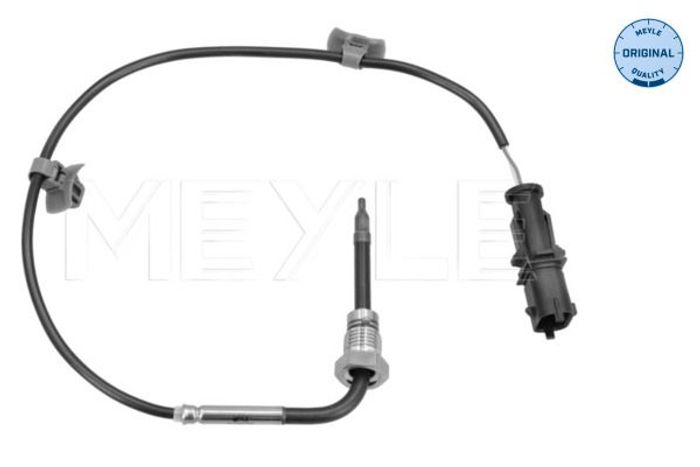 Sensor, Abgastemperatur