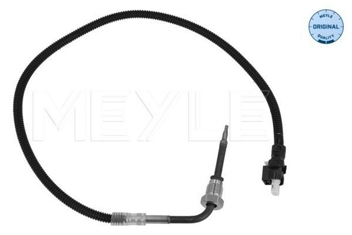 Sensor, Abgastemperatur