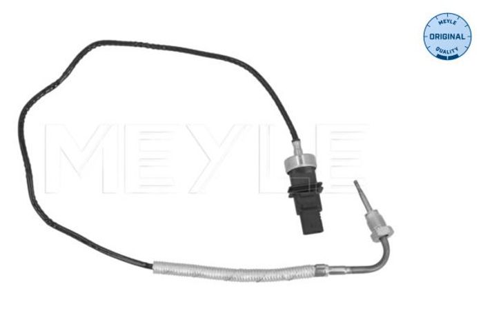 Sensor, Abgastemperatur