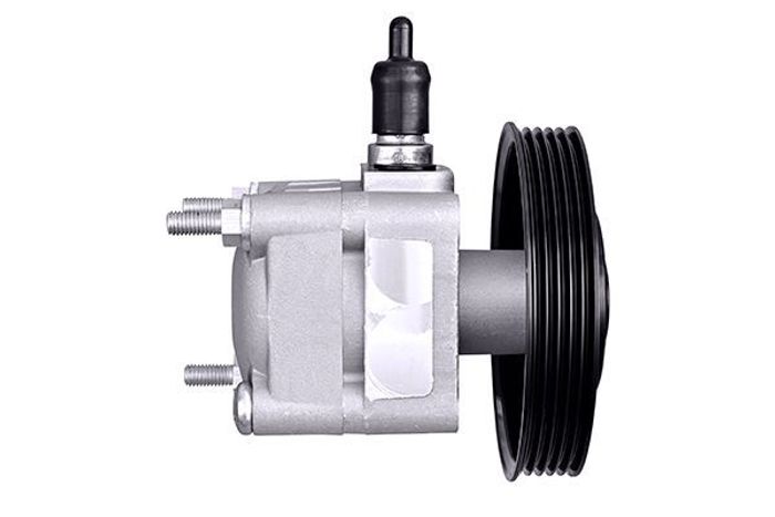 Hydraulikpumpe, Lenkung