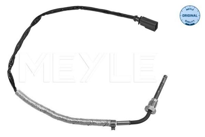 Sensor, Abgastemperatur