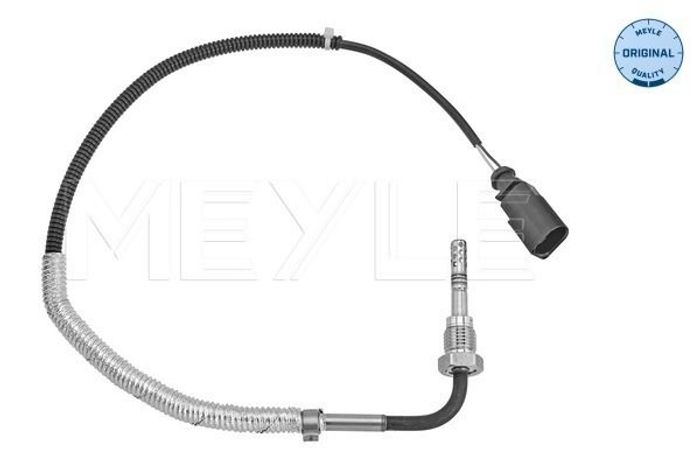 Sensor, Abgastemperatur