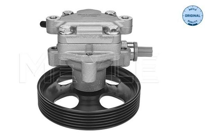 Hydraulikpumpe des Lenkgetriebes (neu) passt zu: FORD FIESTA V, FUSION; MAZDA...