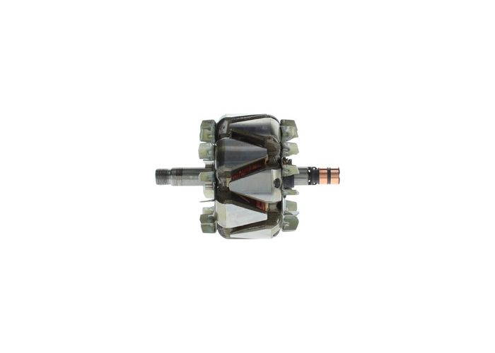 Lichtmaschinenrotor (110A)