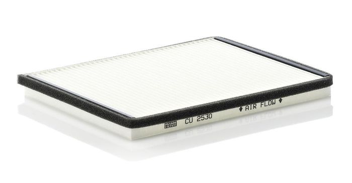 Filter, Innenraumluft