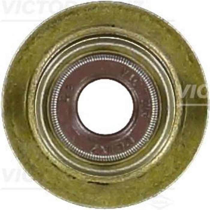 Dichtring, Ventilschaft