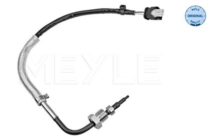 Sensor, Abgastemperatur