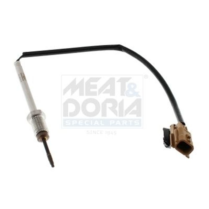 Sensor, Abgastemperatur