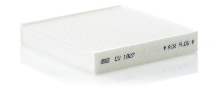 Filter, Innenraumluft