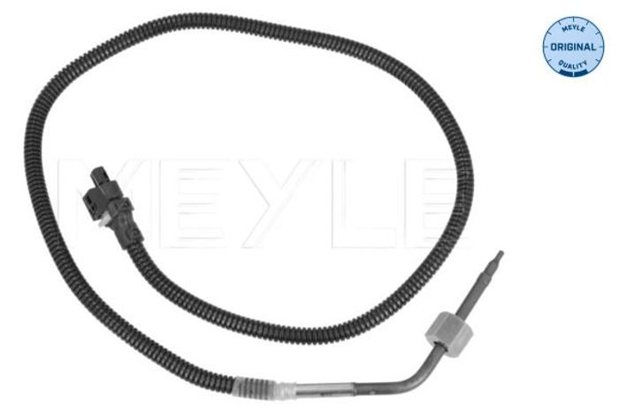 Sensor, Abgastemperatur