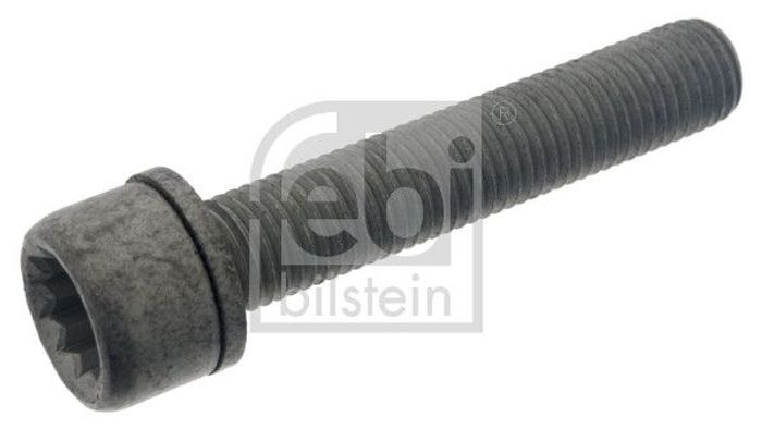 Schraube, Bremssattel