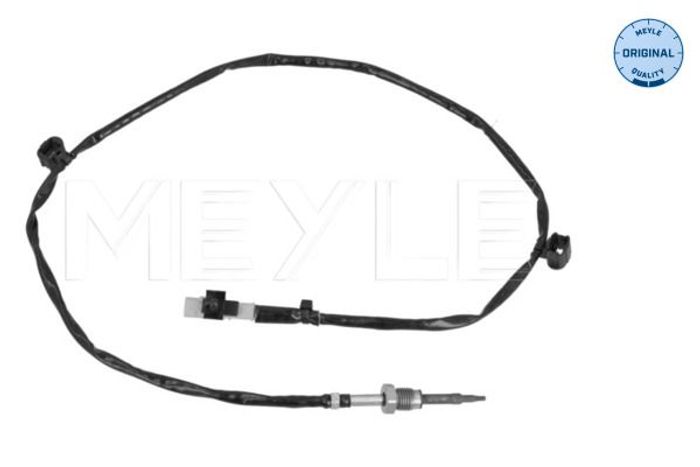 Sensor, Abgastemperatur
