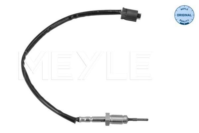 Sensor, Abgastemperatur