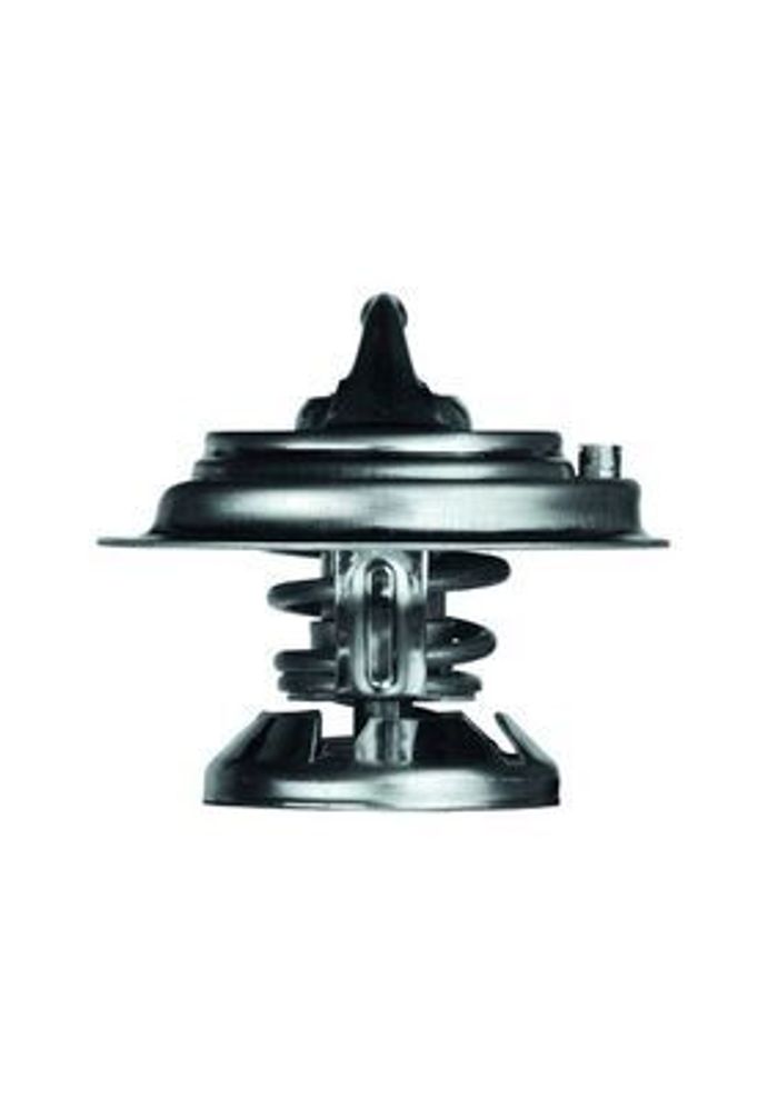 Thermostat, Kühlmittel