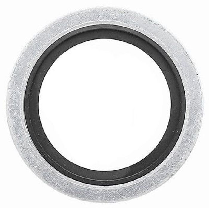 Dichtring