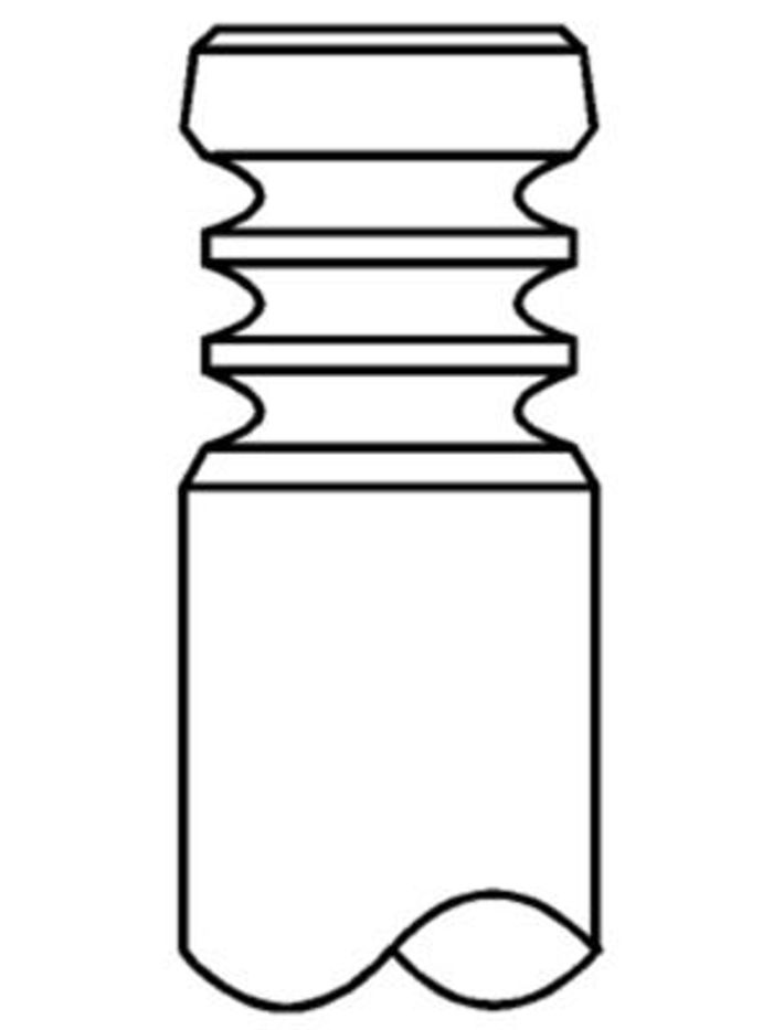 Auslassventil