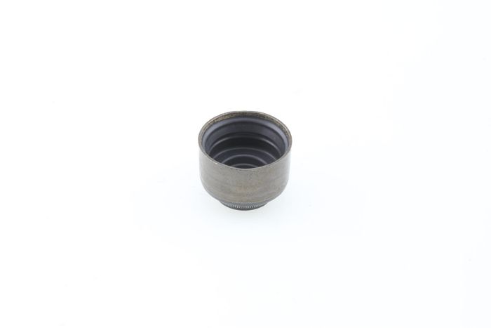 Dichtring, Ventilschaft