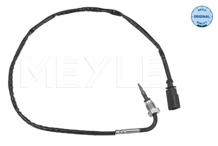 Sensor, Abgastemperatur