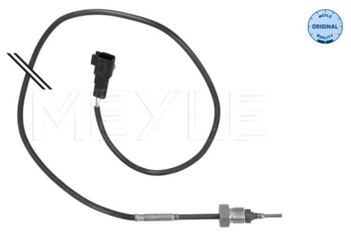Sensor, Abgastemperatur