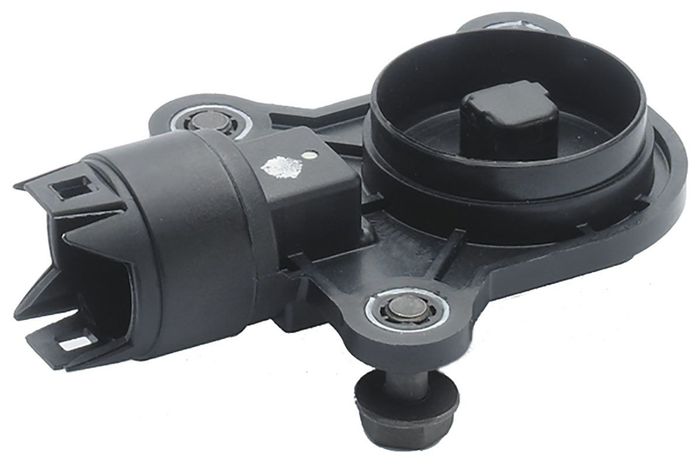 Sensor, Exzenterwelle (variabler Ventilhub)