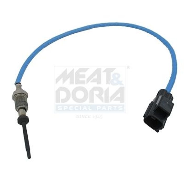 Sensor, Abgastemperatur