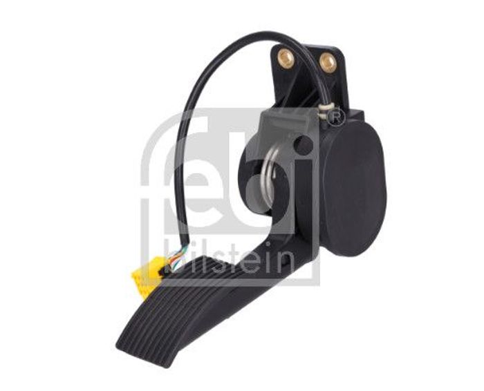 Fahrpedal
