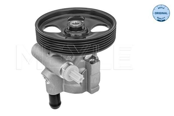 Hydraulikpumpe des Lenkgetriebes (neu) passt zu: RENAULT AVANTIME, ESPACE III...