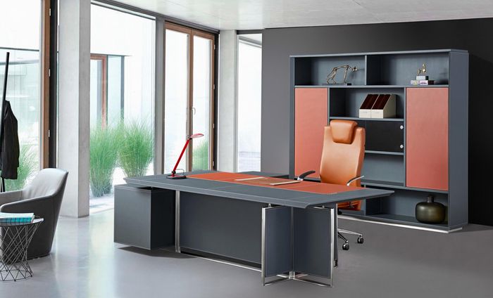 Büro Bücherschrank Aktenschrank Luxus Möbel Modern Schrank Schränke Leder Holz