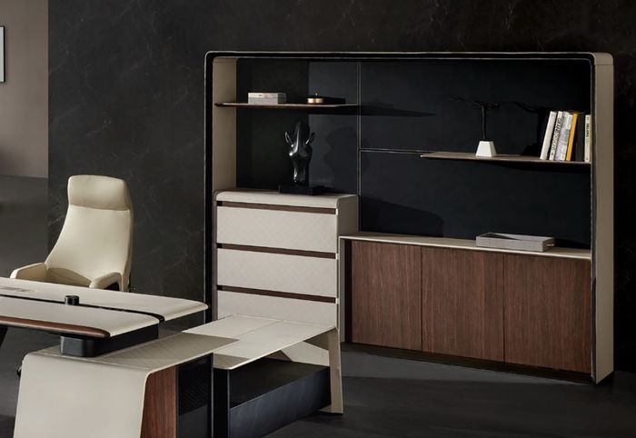 Aktenschrank Bücherregal Regale Schrank Luxus Büro Möbel Schränke 260cm neu