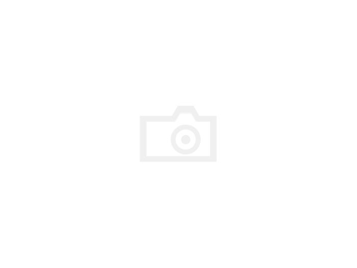 Flieder Blumen Ölgemälde Bild Bilder Gemälde Ölbilder Ölbild Mit Rahmen -G06442