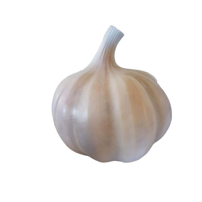 Knoblauch Figur Statue Laden Dekoration Statuen Figuren 90cm Deko Garten Laden