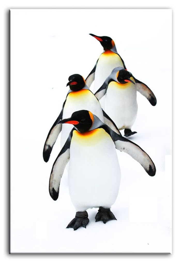 Bild Bilder Gemälde Druck Kunstdruck Polster Kultur " Abstrakt " Pinguin G92779