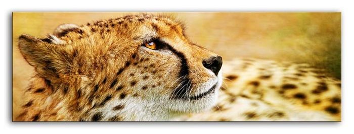 Bild Bilder Gemälde Druck Kunstdruck Polster Kultur " Abstrakt " Leopard G92846