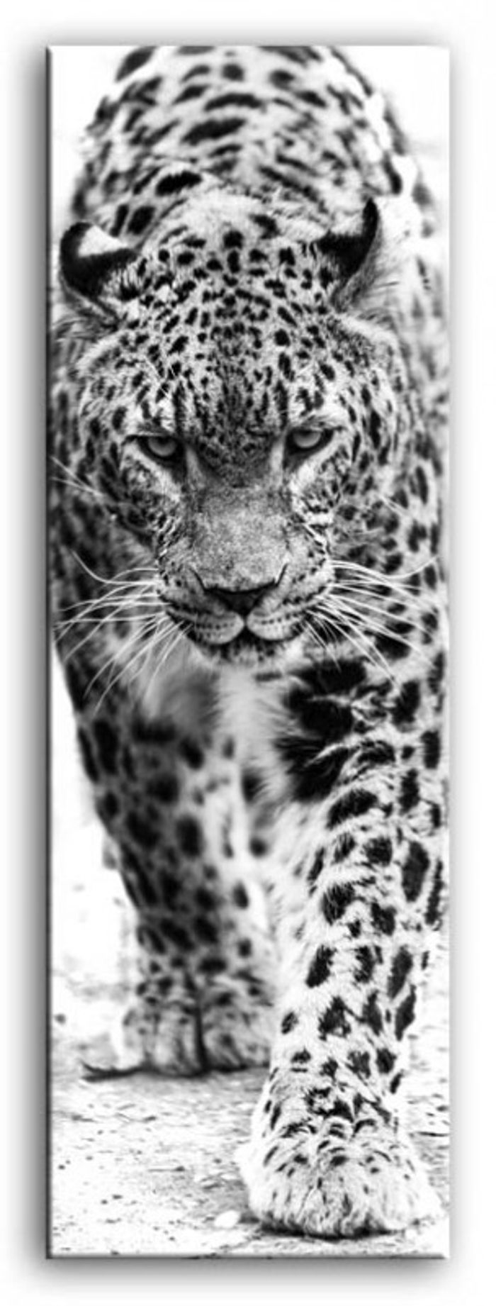 Bild Bilder Gemälde Druck Kunstdruck Polster Kultur " Abstrakt " Leopard G92850