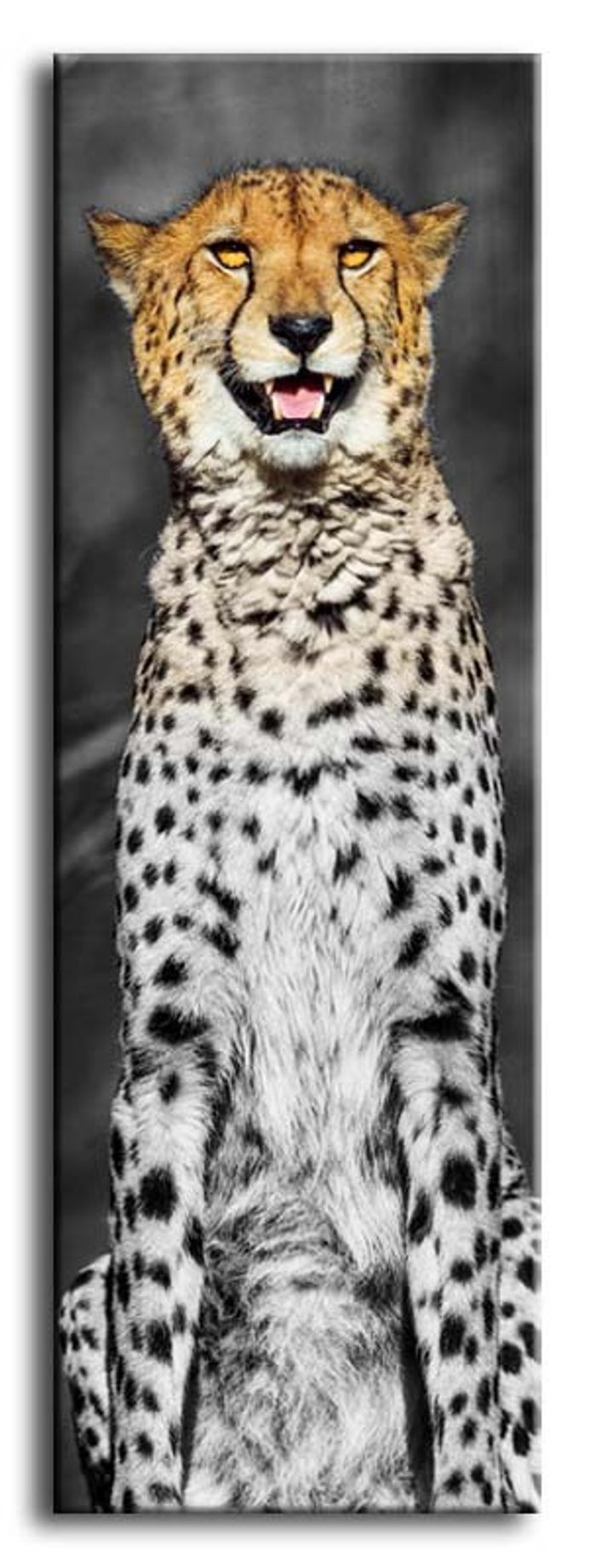 Bild Bilder Gemälde Druck Kunstdruck Polster Kultur " Abstrakt " Leopard G92855