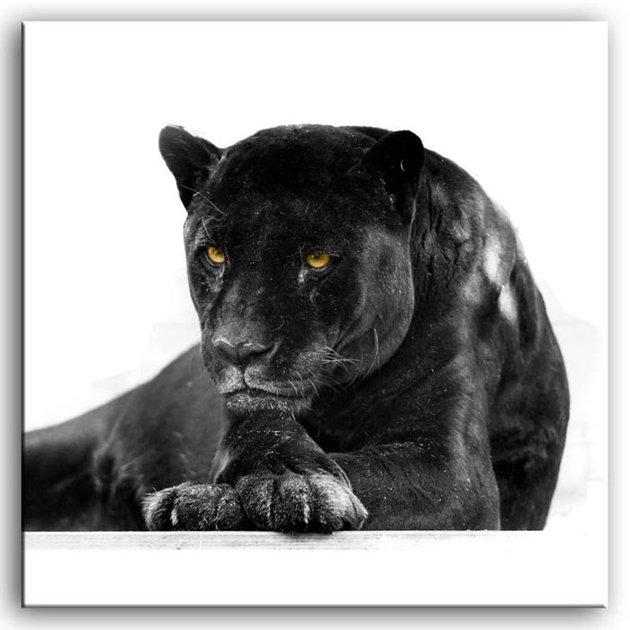 Bild Bilder Gemälde Druck Kunstdruck Polster Kultur " Abstrakt " Puma G92856