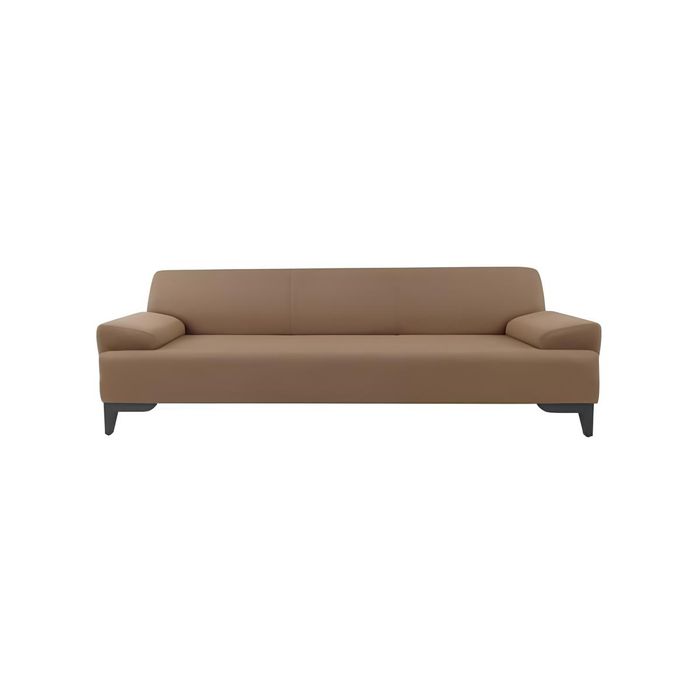 Brauner Zweisitzer Wohnzimmer Polster 2-Sitzer Moderner 2-er Couch Neu
