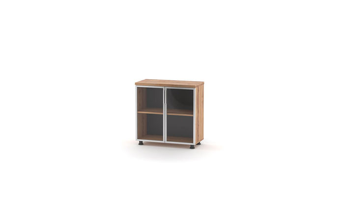 Aktenschrank mit Glastüren Braun Einfarbig Einlegenboden Arbeitszimmer