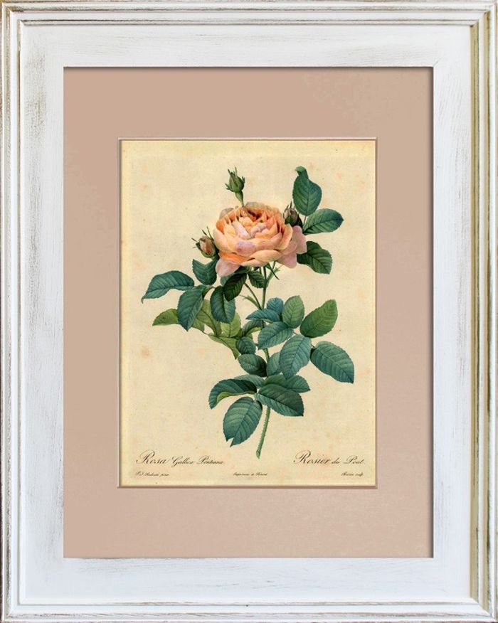 Blume Blumen Pflanze Bild Bilder Gemälde Rahmen Kunst Objekt G93323