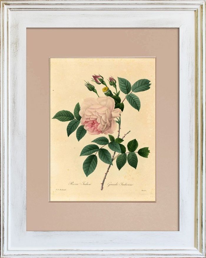 Blume Blumen Pflanze Bild Bilder Gemälde Rahmen Kunst Objekt G93324